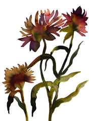 9" x 12" original watercolor ink botanical wildflowers. Garden floral painting in an abstract, expressive, minimalist, modern, loose, watery style by contemporary fine artist Elizabeth Becker. Burnt orange, rust, maroon red, dark green, black and white colors.